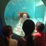 Mermaid Encounters