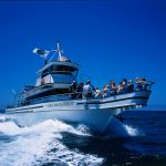 rvexplorer