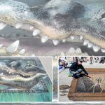 1320 x 745 FeaturedArtists-Image (002)