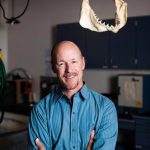 Chris Lowe sharks (002)