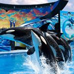 SeaWorld One Ocean