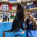 Spooktacular Sea lion and otter show (002)