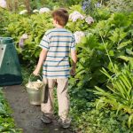 boy in garden