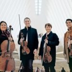 violin group scfta