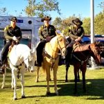 Sherrif horses (002)