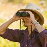 birdbrownshirt watcher