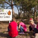 Monarchbutterflyday (003)