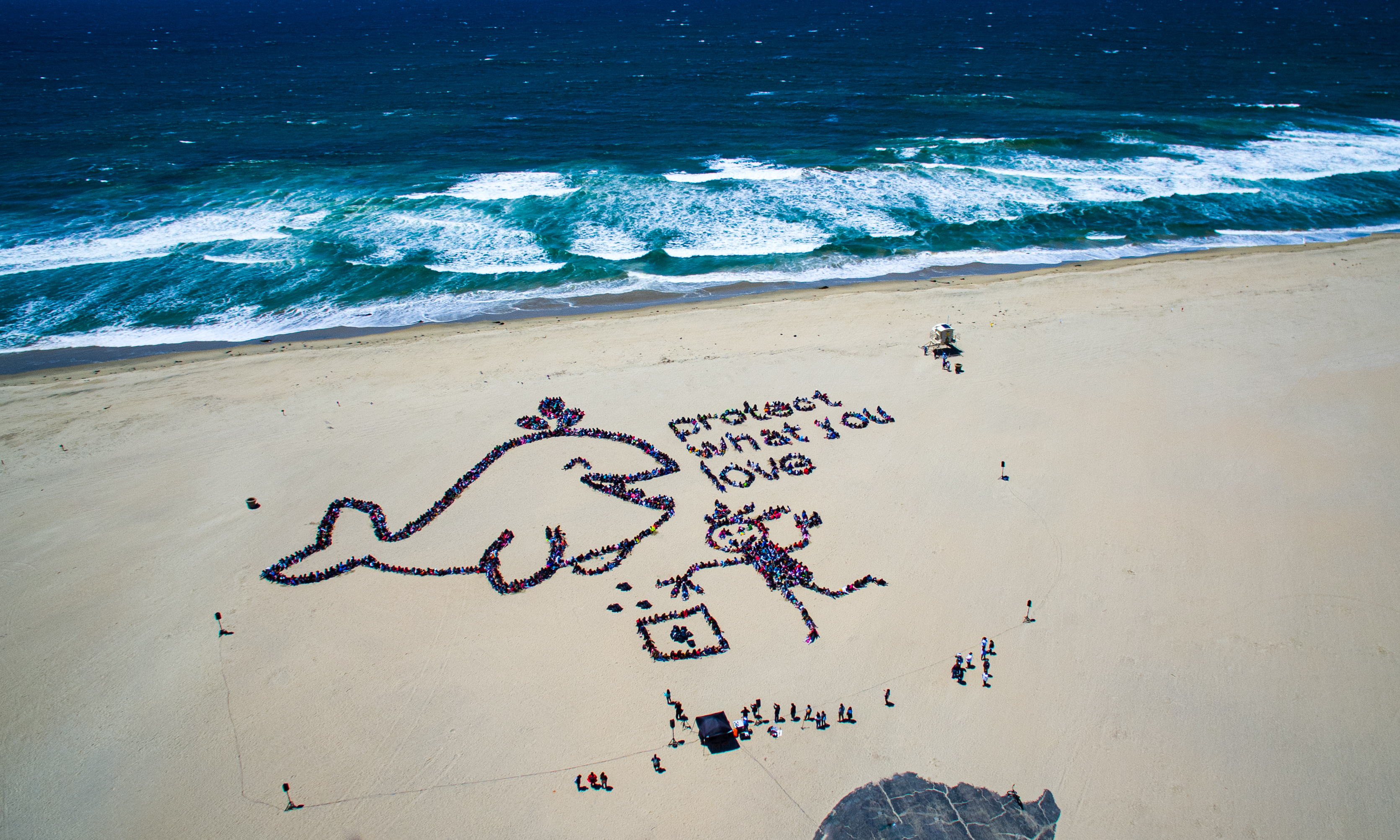 Kids Create Aerial Art For Kids Ocean Day