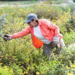 trail volunteer