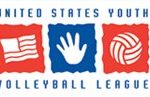 volleyball logo