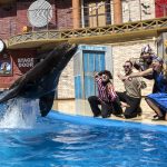 Spooktacular sea lion show (002)