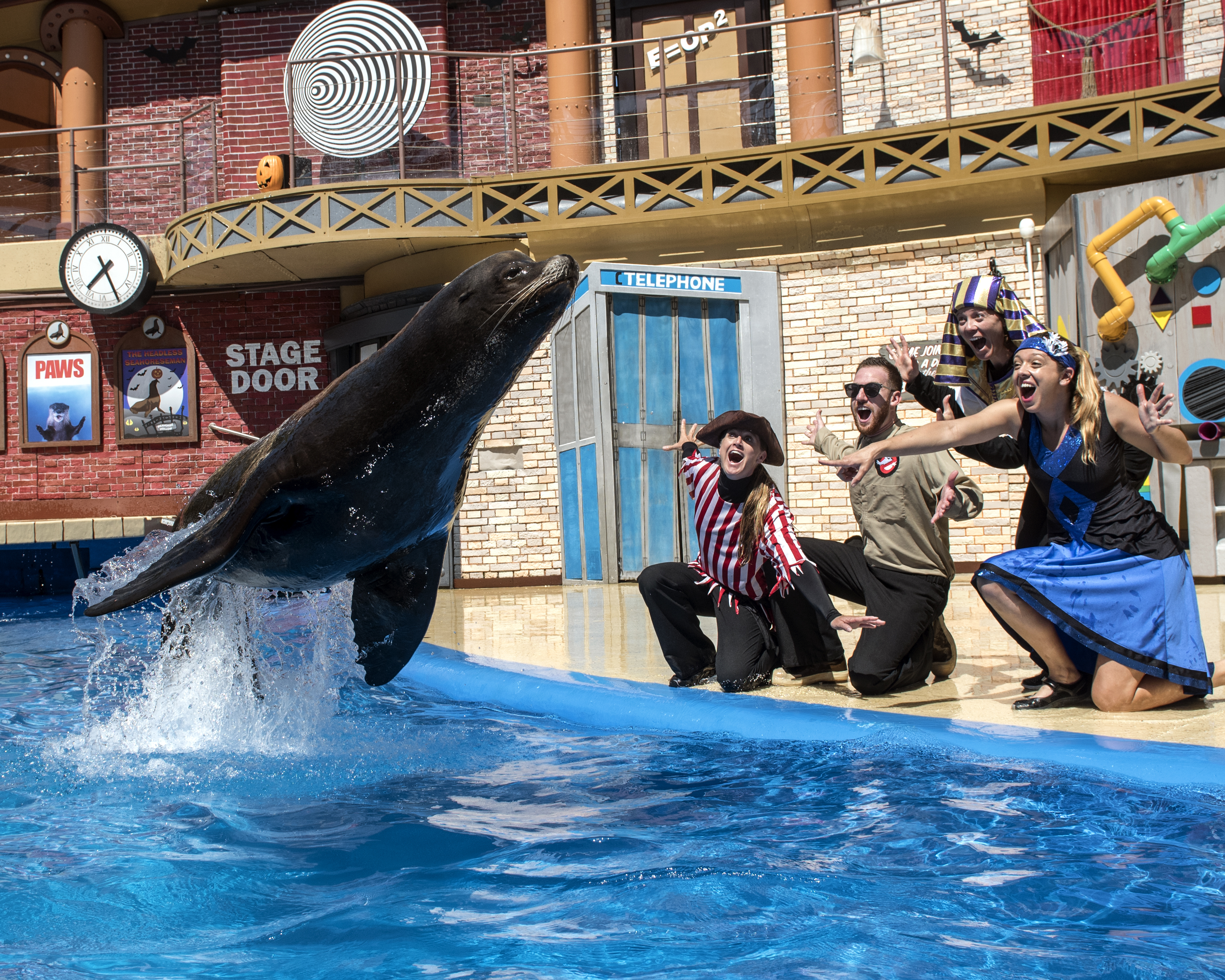 What’s happening at SeaWorld San Diego