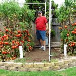 Dave the Tomato Guy