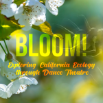 sbc bloom dance program