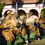 sbc dancing butterflies 2020