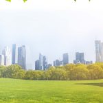 BAREFOOT IN THE PARK – ART