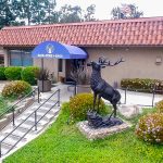 Elks MV location
