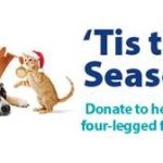 SDCCU presents for paws 2020