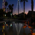 SeaWorld Decked out for Christmas Celebration