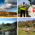 Irivine Ranch Conservancy Dec. 2020