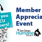 sdccu dalmation humane society