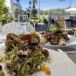 terrance on the green salad