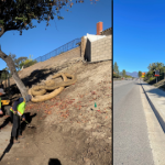 alicia plant construction project