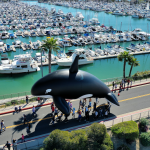 dana point harbor whale balloon parade