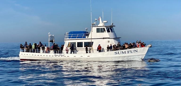 “It was their first time on a boat”