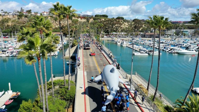 Festival of Whales  March 4-5 