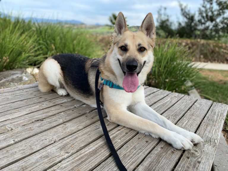 Give sweet Korra a chance